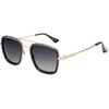 C1 Gold Frame/Black Rim/Gradient Grey Lens