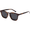 Brown Tortoise/Grey
