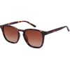 Tortoise/Gradient Brown