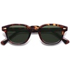 image:imageSOJOS Retro Small Round Sunglasses for Men Women Trendy Circle Style UV400 Lenses Unisex Sun Glasses SJ2251Amber TortoiseGreen