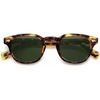 Tortoise/Dark Green