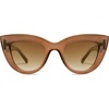 Dark Brown/Brown