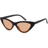 Tortoise/Gradient Brown
