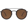 Shiny Black/Brown