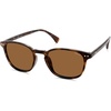 Tortoise/Brown