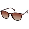 Tortoise/Gradient Brown