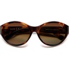 Tortoise/Brown Lens
