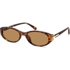 Tortoise/Brown Lens