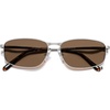 Shiny Silver/Brown
