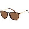 Tortoise/Brown