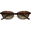 Brown Tortoise/Brown