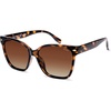 Tortoise Frame Brown Grading Lens