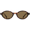 Tortoise+cold Brown