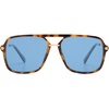 Brown Tortoise/Blue