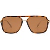Tortoise/Brown