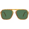 Tortoise/Green